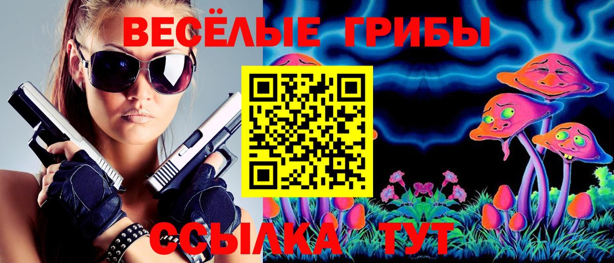 Галлюциногенные грибы GOLDEN TEACHER Татарск