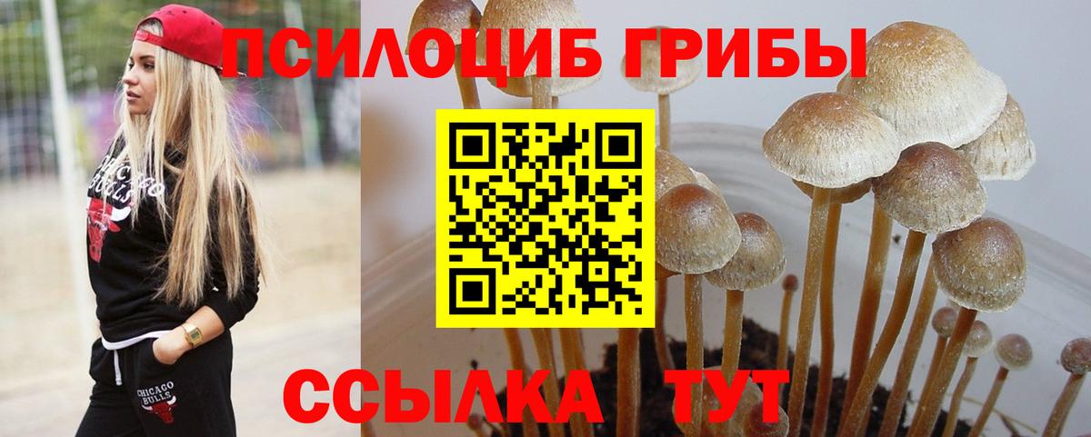 Псилоцибиновые грибы Psilocybine cubensis  Вход с VPN  Татарск  Псилоцибиновые грибы Psilocybine cubensis 